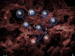 dnf决斗各角色强度怎么样？最新版本职业梯队分析！
