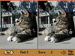 <a href='http://www.shiciwang.com.cn/shoujiAPPyouxi/85425.html'>玩游戏画画ipad推荐(iPad Air5和iPad Pro 2021谁更值得入手)</a>